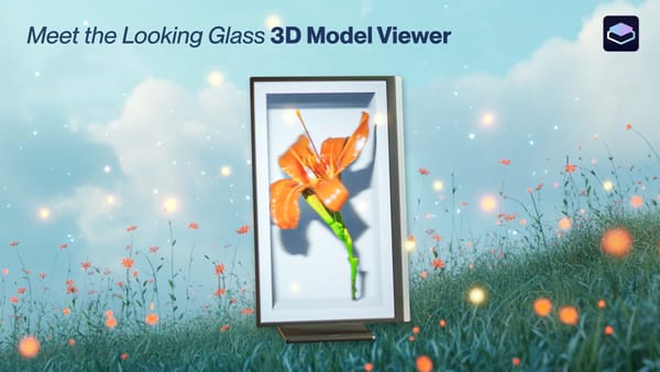 Meet the Looking Glass 3D Model Viewer